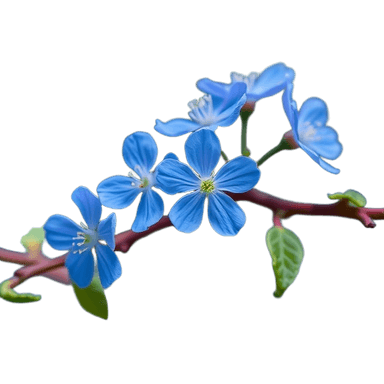 Blue Flowers Blooming